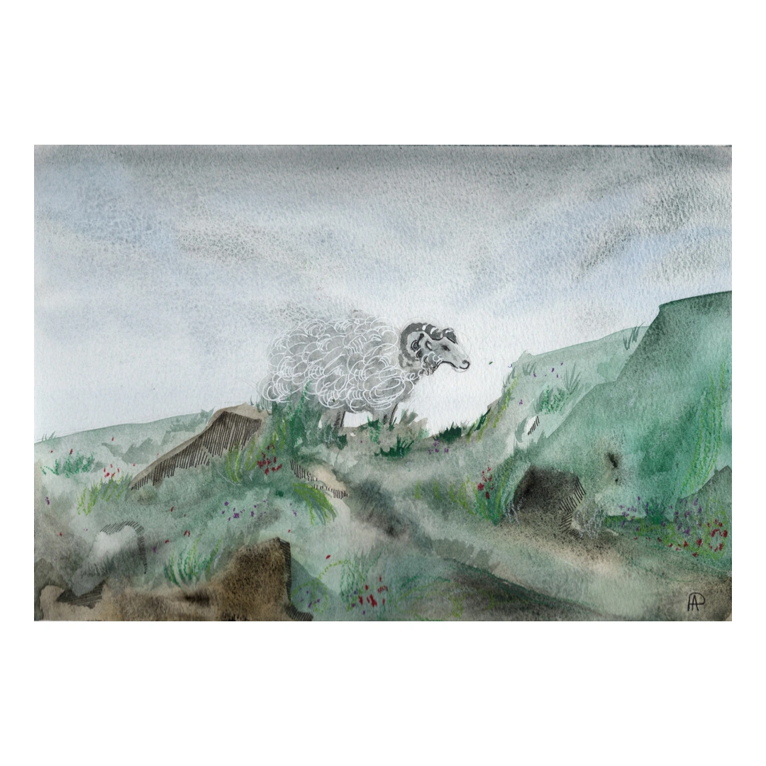 Wild Sheep — Watercolour & fineliner, 33.5 × 25.5 cm, by Alona Petliarska