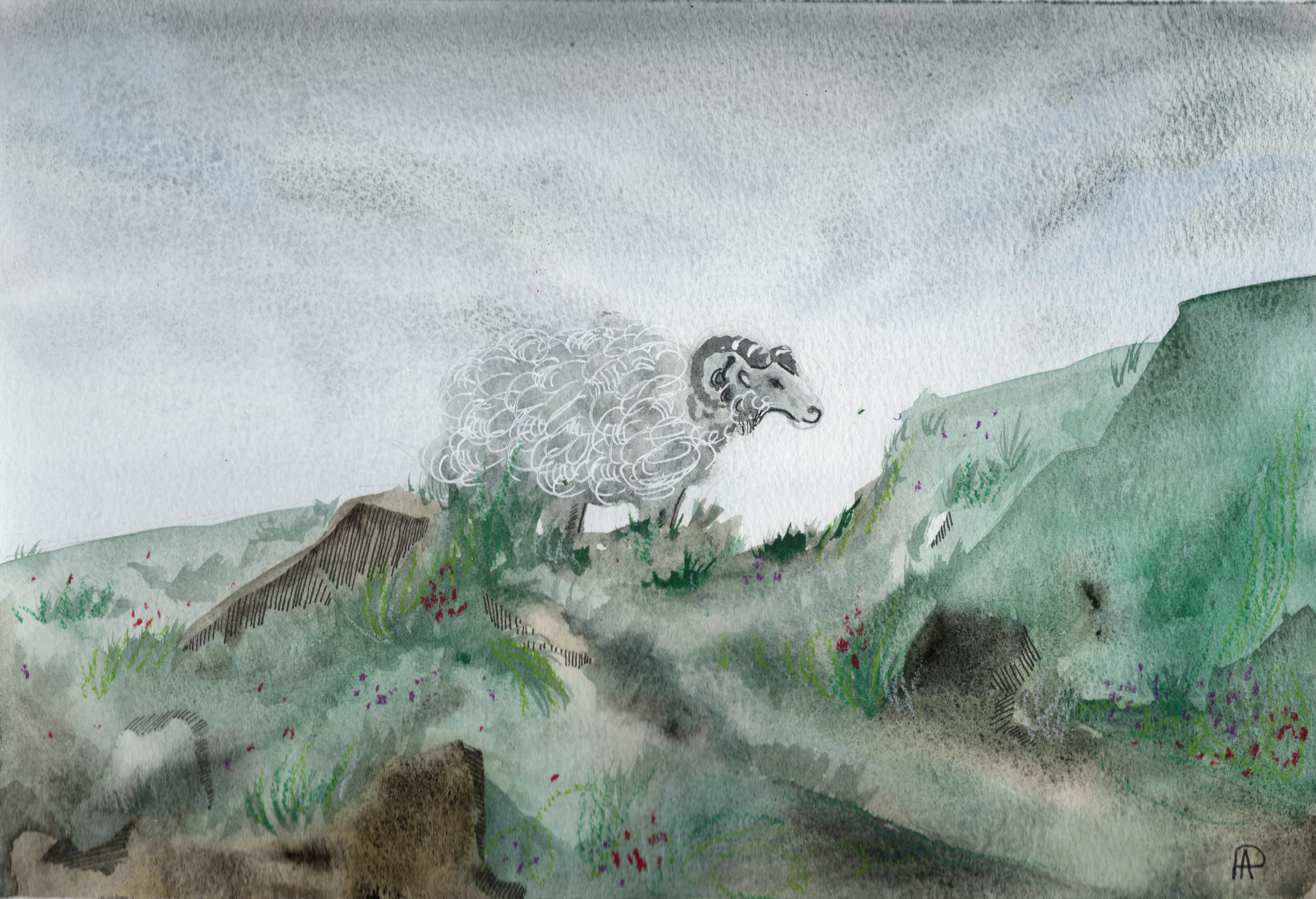 Wild Sheep — Watercolour & fine liner on paper painting by Alona Petliarska, 2026