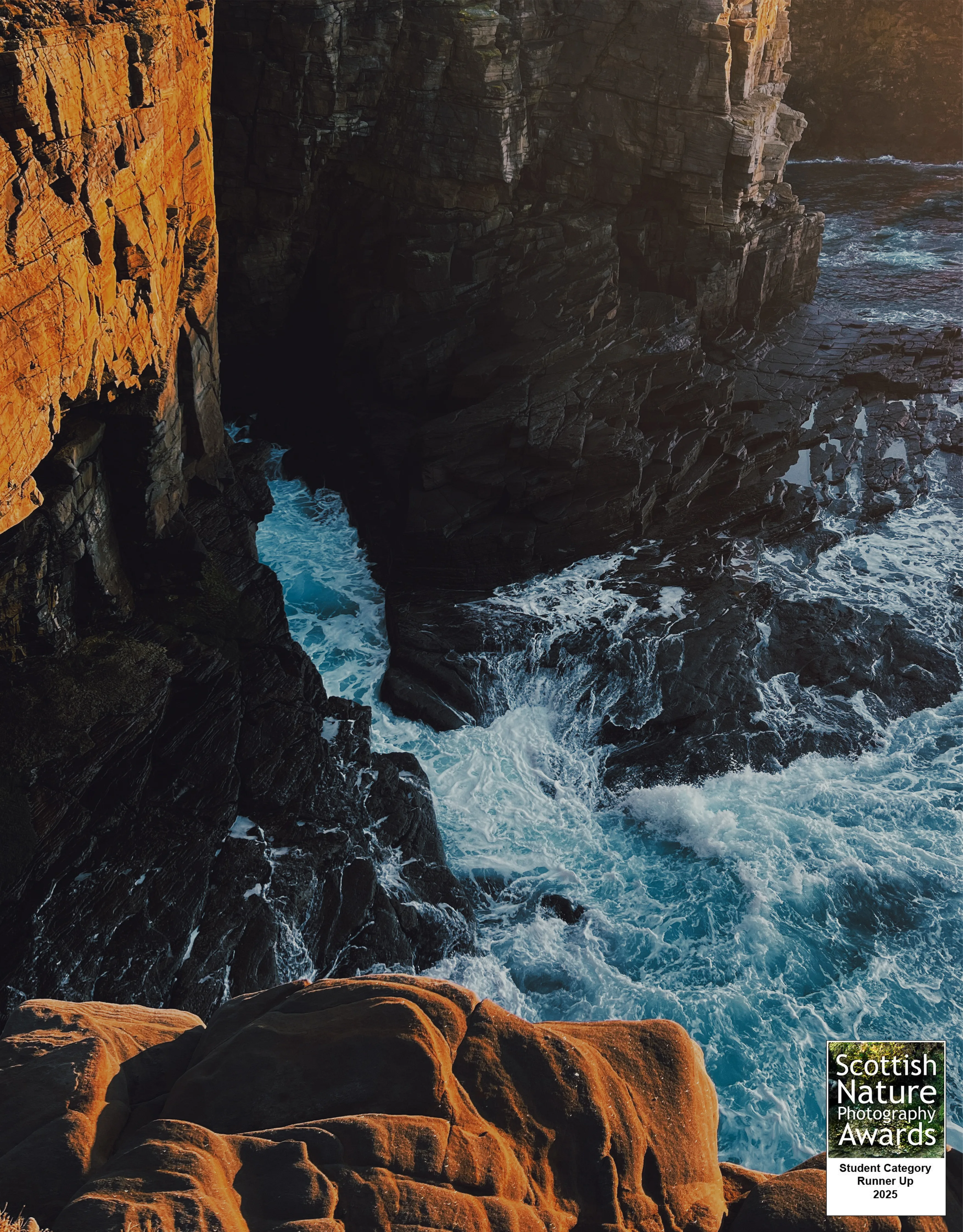 2nd Place — Scottish Nature Photography Awards 2025, Student Category